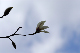 image0184
