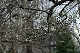 image0185