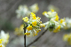 image0192