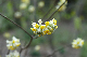 image0193