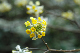 image0194