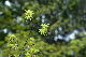 image0197