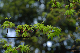 image0198