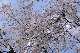 image0200