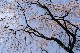 image0202