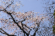 image0203