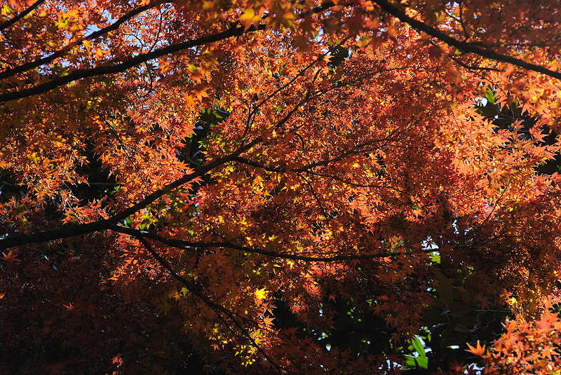 image0112