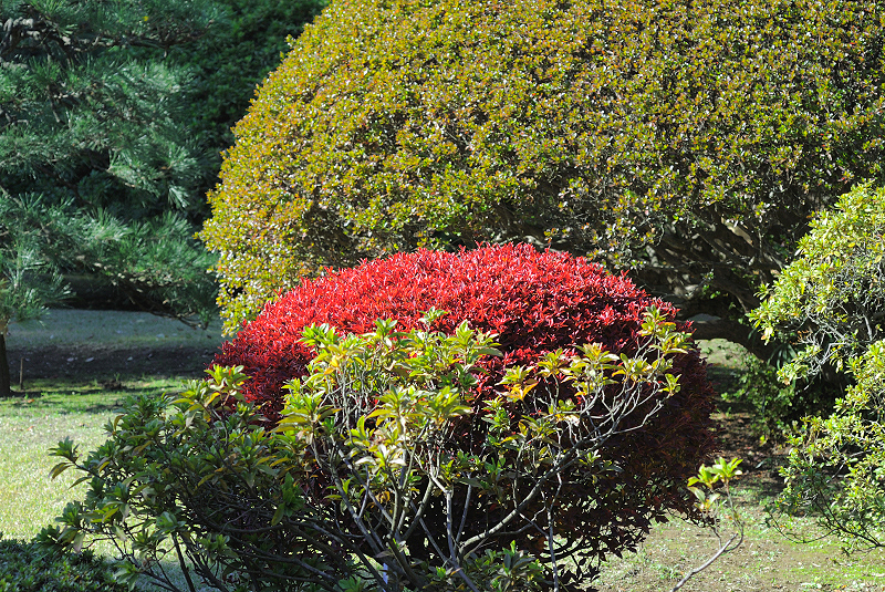 image0116