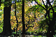 image0131