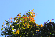 image0132