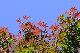 image0133