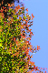 image0134
