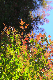 image0135