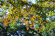 image0136