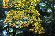 image0137