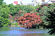 image0139