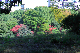 image0140
