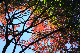 image0141