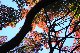 image0142