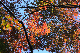 image0143