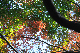 image0144