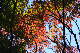 image0145
