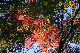 image0147