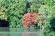 image0149