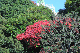 image0153