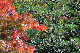 image0154