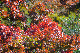 image0155