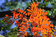 image0156