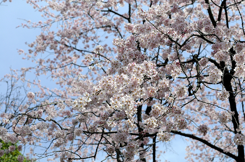 image0075