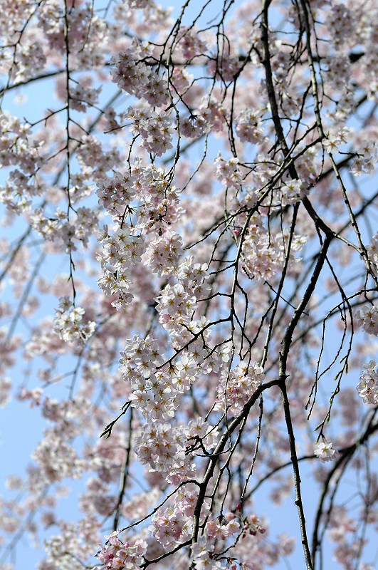 image0086