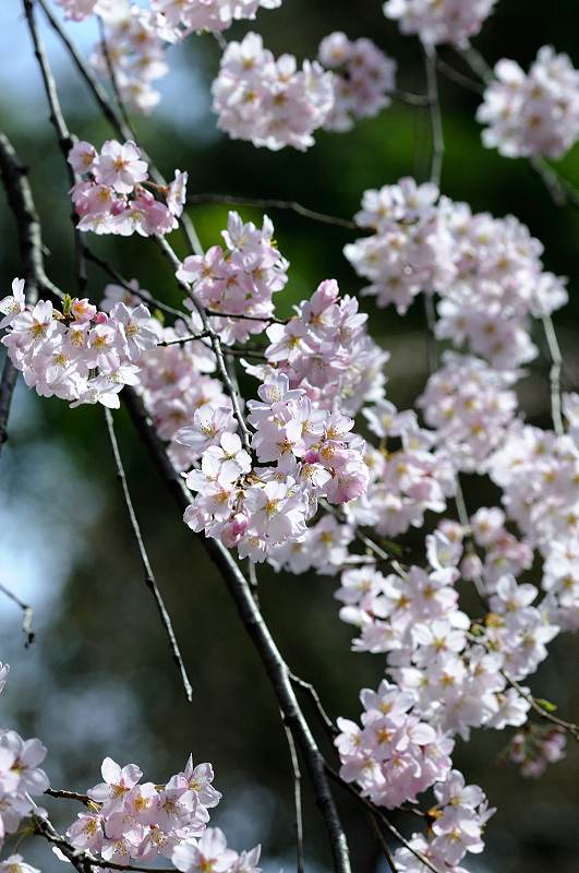 image0101
