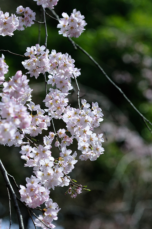 image0102