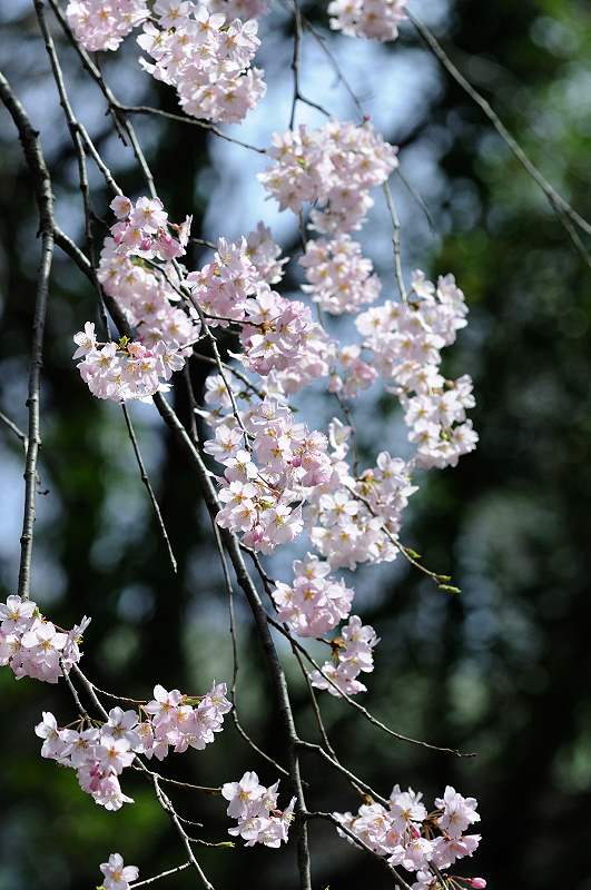 image0106