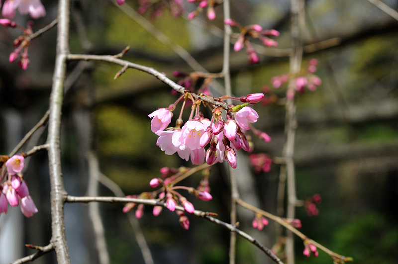 image0131