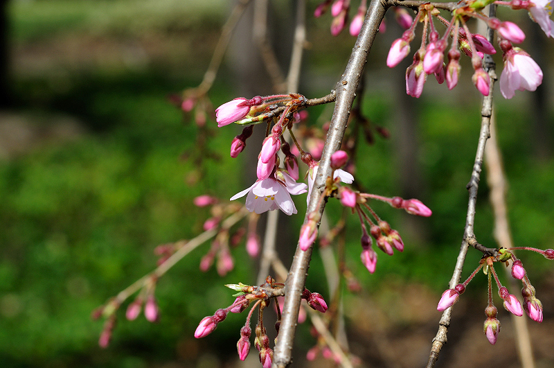 image0133