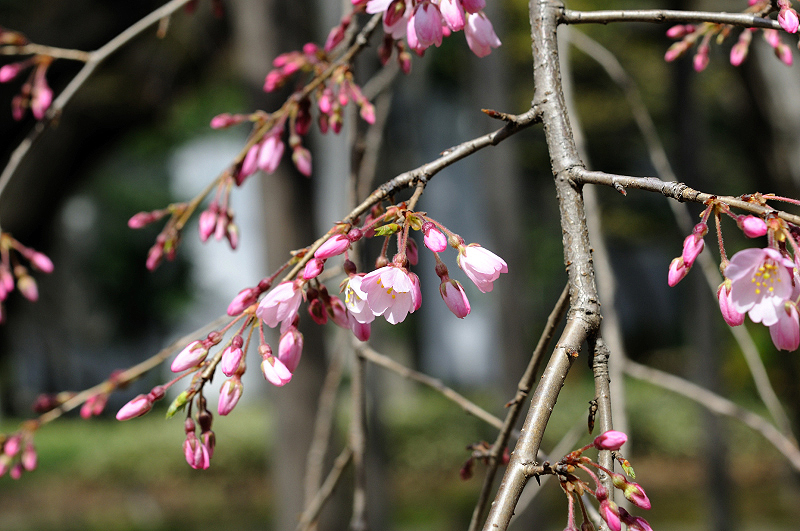 image0134