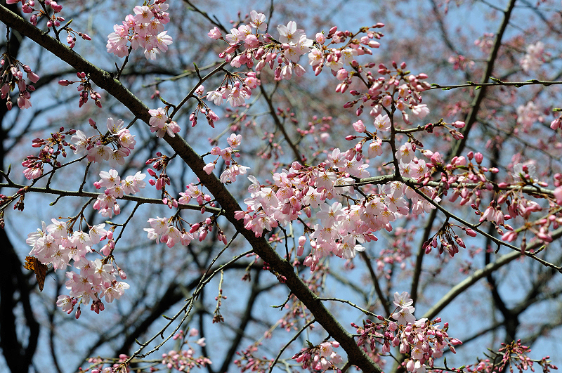 image0135