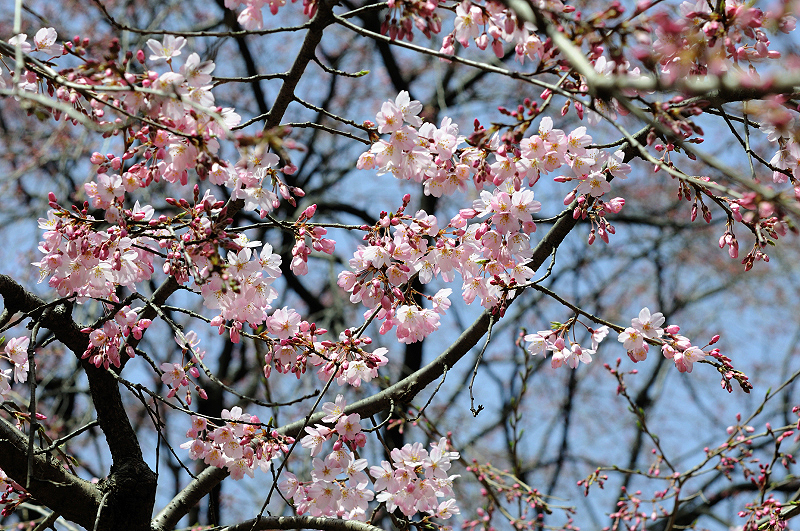 image0137