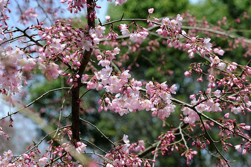 image0157