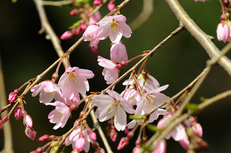 image0165