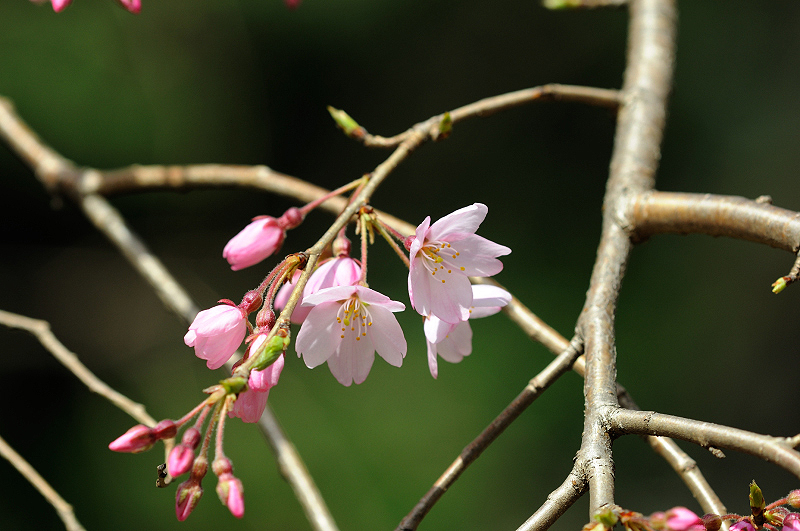image0166