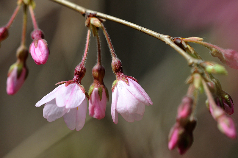 image0171