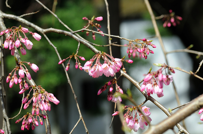 image0183