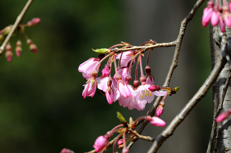 image0186