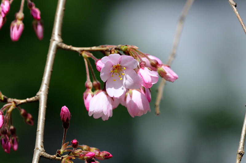 image0195