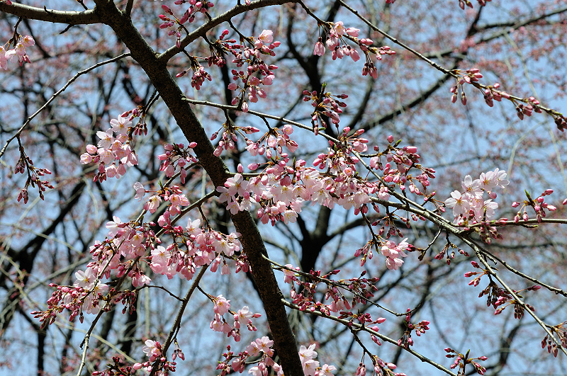 image0203
